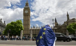 Un manifestant opposé à une sortie du Royaume-Uni de l'UE enveloppé dans le drapeau de européen, le 25 juin 2016 à Londres