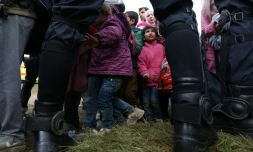 Des enfants parmi les migrants sont encadrés par des policiers slovènes, le 22 octobre 2015 près du village de Rigonce en Slovénie