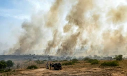 Deux hommes se tiennent près d'un camion et observent les panaches de fumée qui s'élèvent d'un champ après que des roquettes lancées depuis le Sud-Liban ont atterri près de Katzrin, sur le plateau du Golan annexé par Israël, le 13 juin 2024