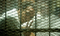 Le photojournaliste égyptien Mahmoud Abu Zeid "Shawkan" fait le V de la victoire dans le box des accusés devant les journalistes au tribubal au Caire le 8 septembre 2018