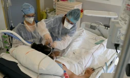 Des infirmières au chevet d'un malade du Covid dans une unité de soins intensifs à Marseille, le 5 janvier 2022