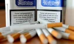 Avertissement sanitaire sur des paquets de cigarettes