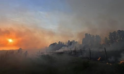 Un incendie de forĂȘt prĂšs de Melloula, dans le nord-ouest de la Tunisie, prĂšs de la frontiĂšre avec l'AlgĂ©rie, le 24 juillet 2023