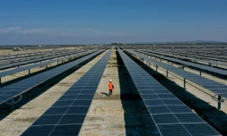 Vue aérienne des panneaux solaires de la centrale photovoltaïque de Karavasta, le 4 octobre 2023 en Albanie