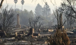 Vue des ravages causés par des incendies à Coffey Park, un quartier de Santa Rosa, le 11 octobre 2017 en Californie