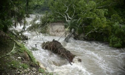 Les pluies de la tempĂȘte Earl alimentent les flots des riviĂšres dans la rĂ©gion de la ville de Melchor de Mencos (Guatemala), une rĂ©gion situĂ©e Ă la frontiĂšre du Belize, le 4 aoĂ»t 2016