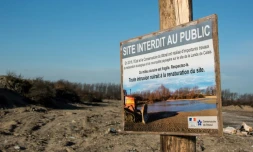 Un panneau interdisant le site au public à l'entrée de l'ancien emplacement de la "Jungle", le 18 janvier 2017 à Calais