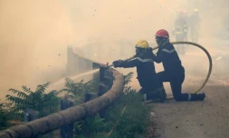 Les pompiers luttent contre le feu à Castagniers, proche de Nice, le 17 juillet 2017
