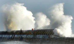 Deux personnes face aux vagues géantes le 8 février 2016 dans le port de Lesconil dans l'ouest de la France