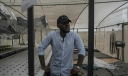 Peter Okocha Junior, fondateur de PS Nutrac montre les serres où il cultive en aéroponie, le 5 juin 2018 à Wasinmi, près d'Abeokuta, au Nigeria