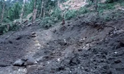 Photo transmise par les autorités pakistanaises le 26 février 2019 des dommages causés aux arbres et au terrain après une frappe de l'armée de l'air indienne à Balakot