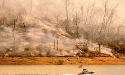 Les dunes de Mesquite, dans la Vallée de la Mort, en Californie, le 7 juillet 2024