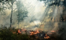 Un incendie à Artigues, dans le Var, le 25 juillet 2017