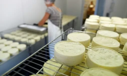 Le projet d'accord aurait accordé la dénomination "camembert AOP de Normandie" à tout fromage, y compris les industriels au lait pasteurisé