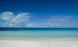 La surface des mers a battu en avril son record annuel et se maintient depuis à des niveaux inédits