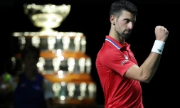 Novak Djokovic fête la qualification de la Serbie pour les demi-finales de la Coupe Davis, après sa victoire contre le Britannique Cameron Norrie, le 23 novembre 2023 à Malaga