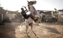 Un jockey s'entraîne à contrôler son cheval, à Ouagadougou le 1er février 2022

