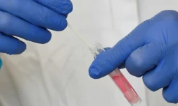 Test du covid à Stuttgart en Allemagne le 13 octobre 2020