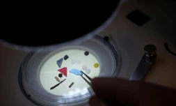Des microplastiques sous un microscope d'un laboratoire de l'université britannique de Plymouth
en février 2023