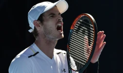 Le Britannique Andy Murray lors du match contre l'Allemand Mischa Zverev, le 22 janvier 2017 à Melbourne pour les huitièmes de finale de l'Open d'Australie