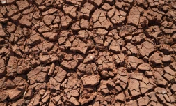 Sécheresse à Dohuk, dans le nord de l'Irak, en novembre 2021