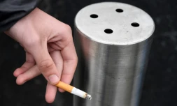 En France, le tabagisme avait enfin commencé à baisser lors de la deuxième moitié des années 2010, après plus d'une décennie de campagnes anti-tabac, mais la tendance s'est désormais interrompue 