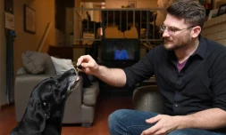 Brett Hartman administre à sa chienne Cayley une dose de cannabis pour l'aider à lutter contre l'anxiété, le 8 juin 2017 à Los Angeles