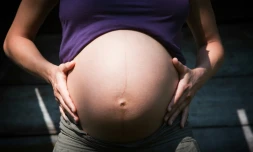 Une jeune femme enceinte à Ygos-Saint-Saturnin dans Les Landes, le 18 avril 2011