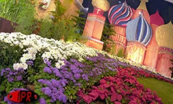 Les 5èmes Floralies de l'Océan Indien  ont eu lieu du vendredi 6 au dimanche 8 octobre 2000 au parc des Expositions de Saint-Denis de La Réunion. L'exposition vente était placée sous le thème &quot;les hommes et les plantes à travers le temps&quot;
