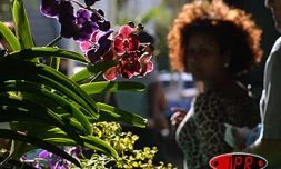 : Plus de 400 000 visiteurs sont attendus pour cette 20e édition
des Florilèges.