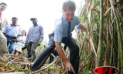 Vendredi 17 septembre 2004 -
Hervé Gaymard, ministre de l'agriculture, en visite à la Réunion