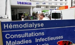 Jeudi 27 octobre 2005 -
Pas de cas de grippe aviaire à La Réunion