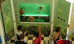 Exposition sur la biodiversité au muséum d'histoire naturelle du jardin de l'État à Saint-Denis