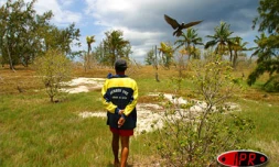 L'île aux cocos (Maurice), accueille plusieurs espèces d'oiseaux protégés (sterne, fous de bassans, frégatge, oiseaux la vierge...)