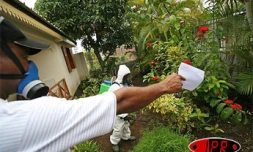 Jeudi 5 octobre 2006 

La DRASS va lancer une opération kass Moustik visant à impliquer fortement la population dans la lutte contre le moustique vecteur du chikungunya