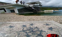 Jeudi 24 août 2006 - 

Kélonia, le royaume Marinette la tortue marine
