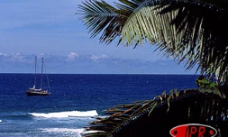Jeudi 3 juillet 2003
Le salon nautiq'hall se tiendra jusqu'au dimanche 6 juillet 2003 au Port
