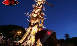 Samedi 24 décembre 2005 -


Joyeux Noël