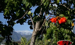 Samedi 2 août 2003
Le Piton des neiges sous la neige vu de l'Est
Photo Hervé Douris