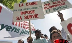 Lundi 2 mai 2005 -

À l'appel de la CGPER, les planteurs ont manifesté devant la préfecture pour la défense de la filière canne-sucre