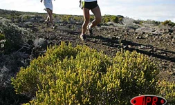 Vendredi 22 octobre 2004

Les concurrents du grand raid traverse Fok Fok sur la route du volcan