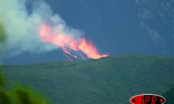 Vendredi 18 février 2005

Deuxième jour d'éruption pour le piton de la fournaise