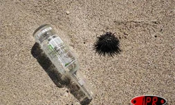 Lundi 25 septembre 2006 -
Malgré la présence de poubelles et un ramassage quotidien des déchets, des immondices défigurent les paysages de l'Ouest