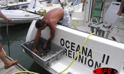 Samedi 4  novembre 2006 -
Dorina la jeune tortue a été sauvée des mailles d'un filet de pêche - Photo Kélonia