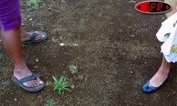 De plus en plus de pauvres