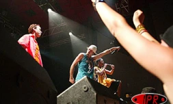 Vendredi 17 décembre 2004

Sergent Garcia en concert au Kabardock au Port