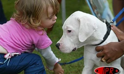 Dimanche 3 octobre 2004

Toutous en vedette lors de la journée mondiale des animaux