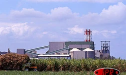 La Commission au conseil duParlement européen a décidé d'exclure les régions ultra-périphériques du futur règlement sucrier.