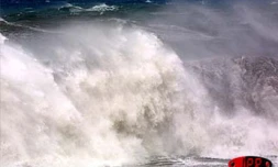 Bravant le danger, des surfeurs ont profité de la forte houle provoqué par le  cyclone tropical Ando, qui a frôlé La Réunion le samedi 6 janvier 2001, pour surfer à Roches Noires (Ouest). Ils ont été interpellés par les gendarmes à leur sortie de l'eau