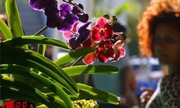 La 7ème édition de Flore et hall, le salon de l'horticulture, a eu lieu du mercredi 31 juillet au dimanche 4 août 2002 à la halle des manifestations du Port